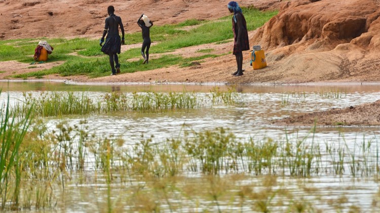 Carter Center hails new record-low for Guinea worm cases, bringing disease 'closer than ever to eradication'