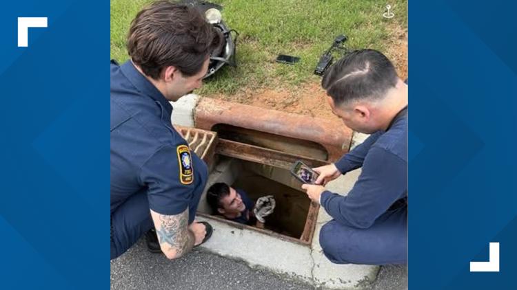 Marietta firefighters jump into action to rescue baby chick from storm drain