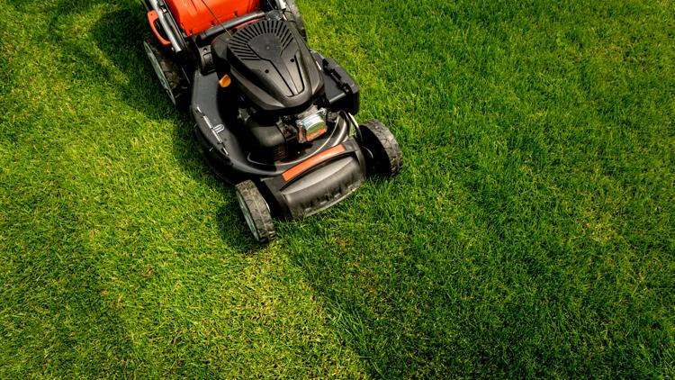 Police warn residents of lawn care service scam as weather changes
