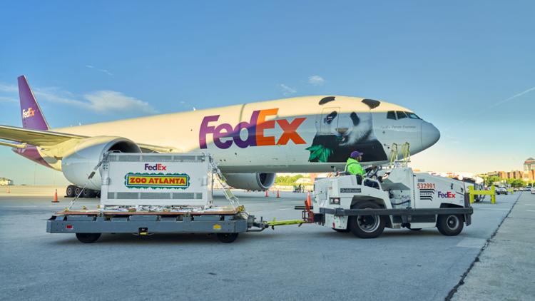 Meet Atlanta's new giant pandas: Ping Ping and Fu Shuang