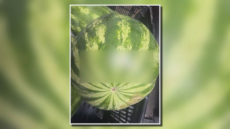 Man finds racial slur carved into watermelon at Clayton County farmers market