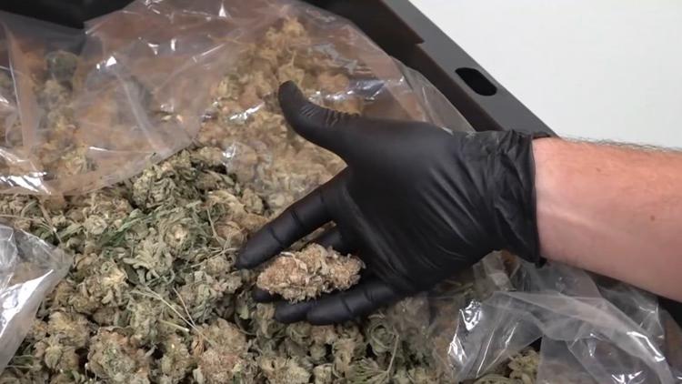 Georgia's medical cannabis program gets major overhaul beginning July 1