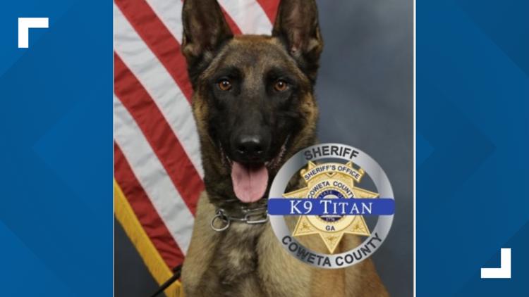 Beloved Coweta County Sheriff K-9 killed in line of duty laid to rest