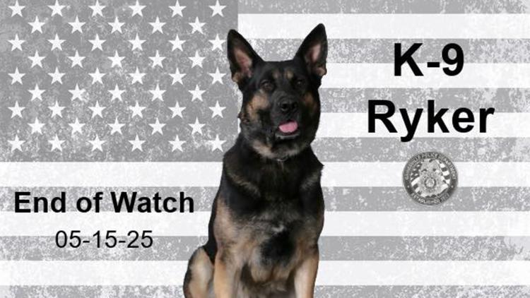 Gainesville police mourn loss of dedicated K-9 Ryker after sudden passing