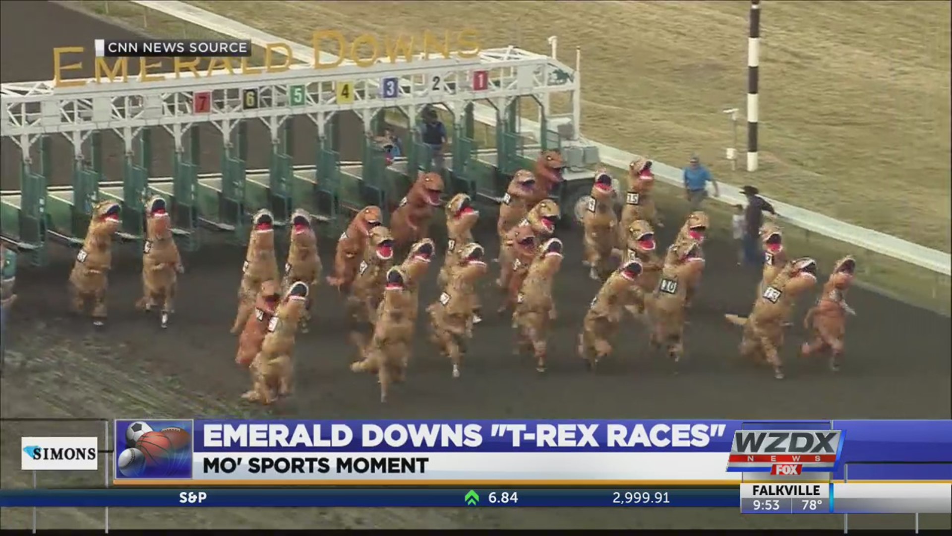 At first glance, the starting gate at Emerald Downs racetrack looks relatively normal. But then the gates open and the race begins, and instead of thoroughbreds a mass of people bursts forth, running as fast as they can — while wearing oversized T-Rex costumes.