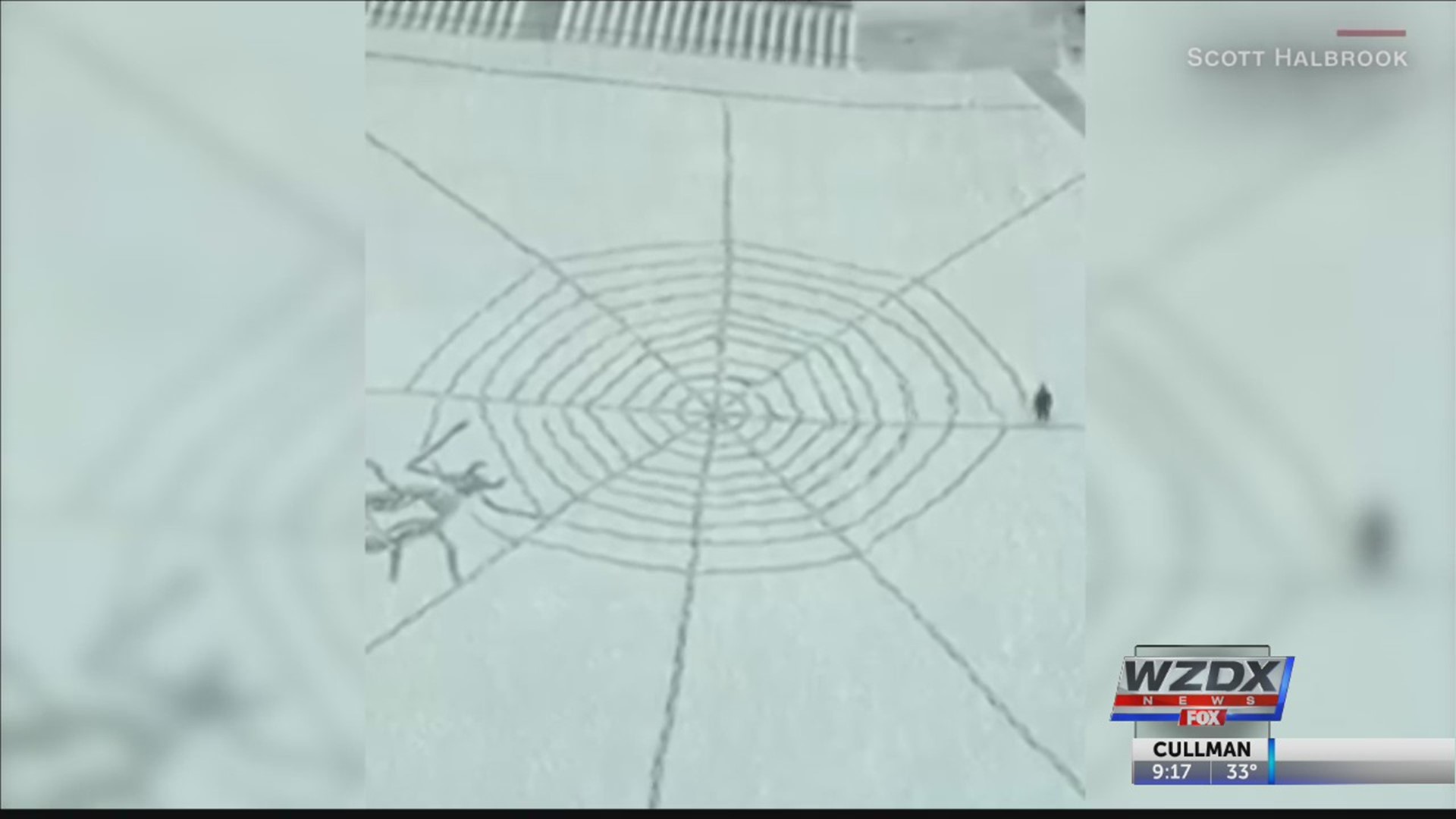 A mystery artist used fresh snow in Cleveland, Ohio, to make a creative statement. Scott Halbrook spotted this snowy spiderweb being spun from his hotel room window.