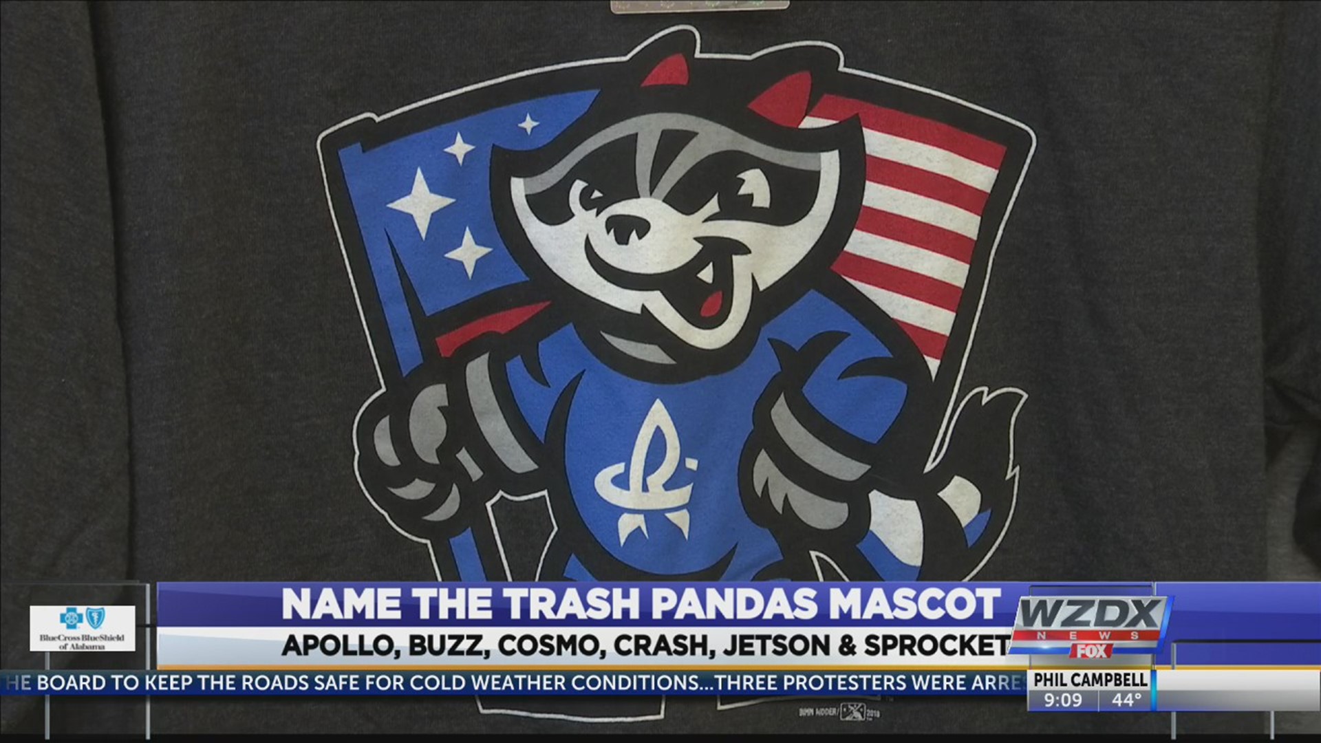 Rocket City Trash Pandas Logos Unveiled