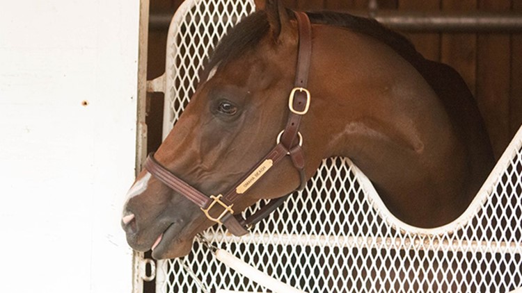 Kentucky Derby favorite Omaha Beach to scratch due to breathing problem