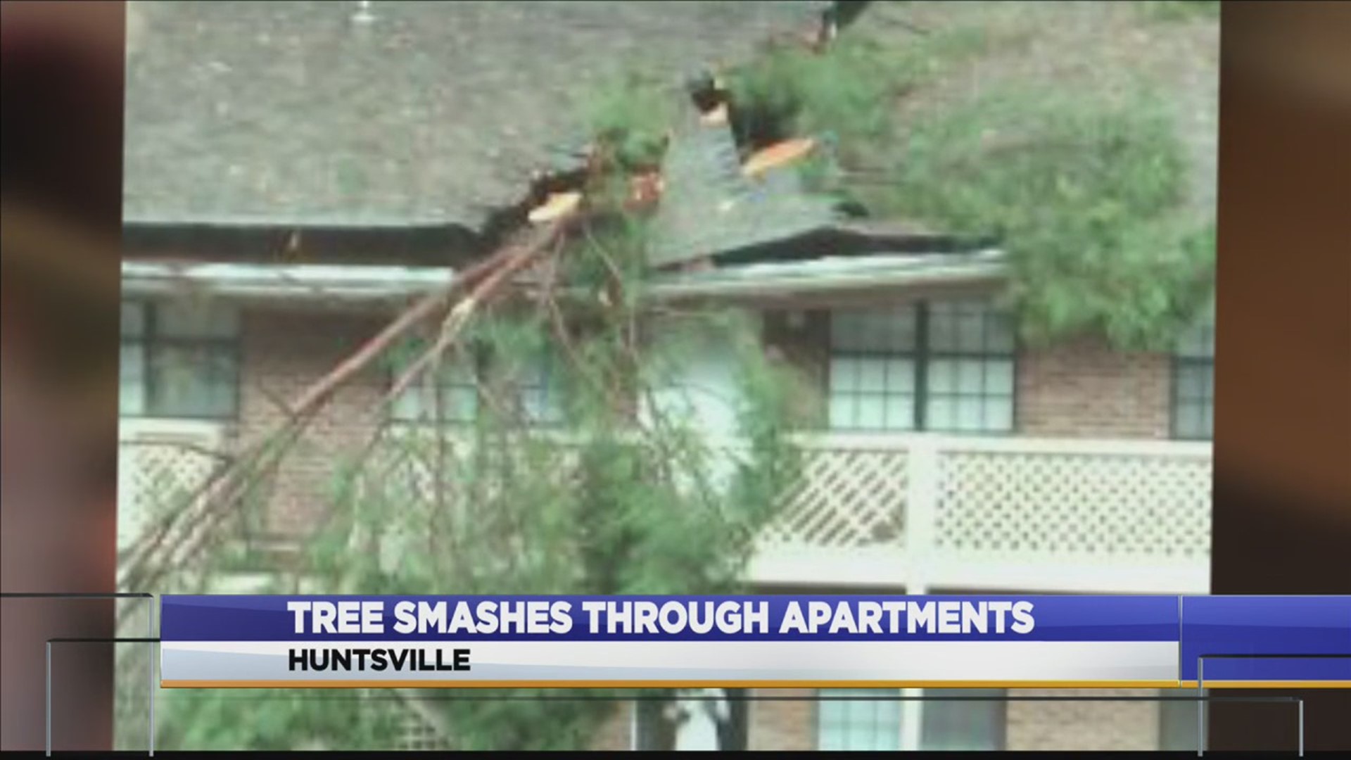 At least a dozen people are forced out of their homes after a large tree crashed through their apartment building Tuesday.