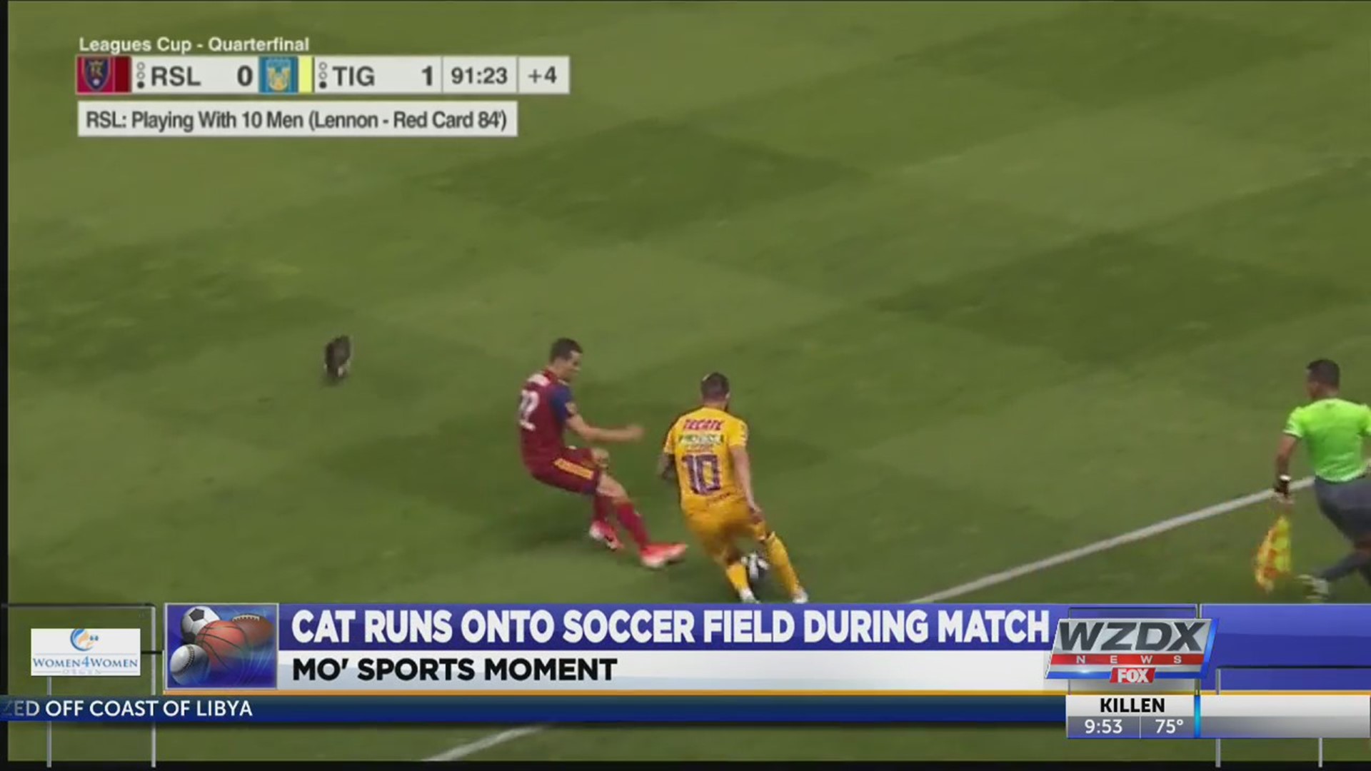 Mo Sports Moment: Cat executes perfect run in the channel during RSL-Tigres  Leagues Cup game