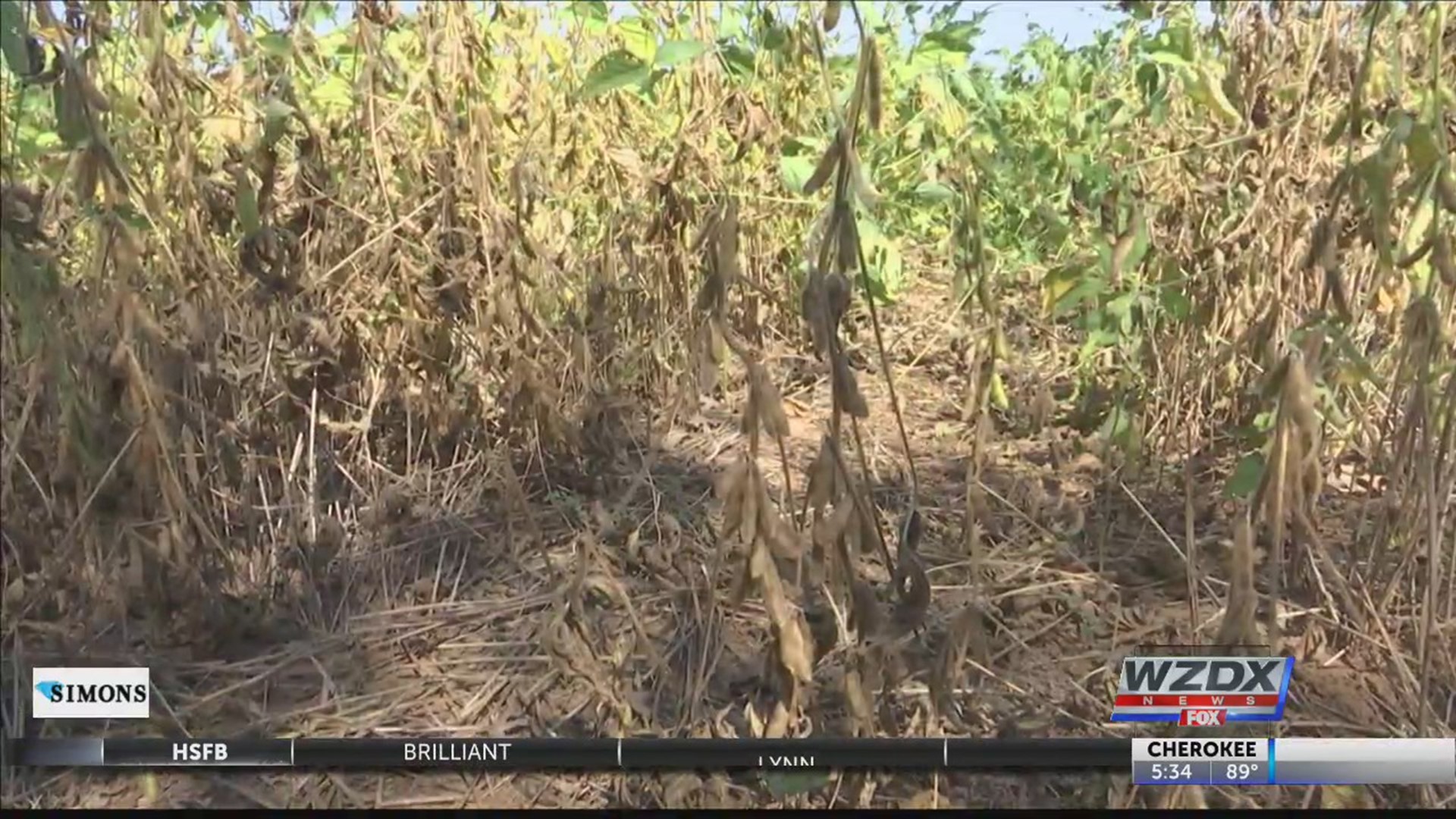 Extreme heat and lack of rain is causing problems for farmers across Alabama and right here in the valley, and forecasts show the drought could continue.