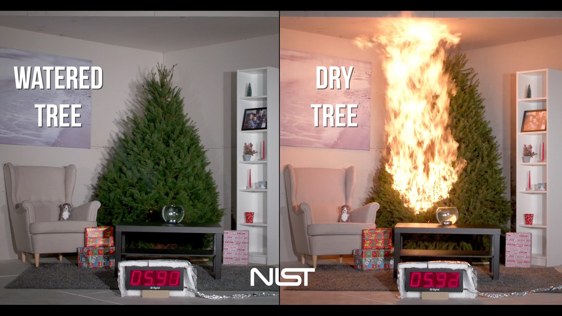 The U.S. Department of Commerce's National Institute of Standards and Technology did an experiment lighting an unwatered tree on fire and a watered tree on fire. The dry tree is up in flames in under five seconds.