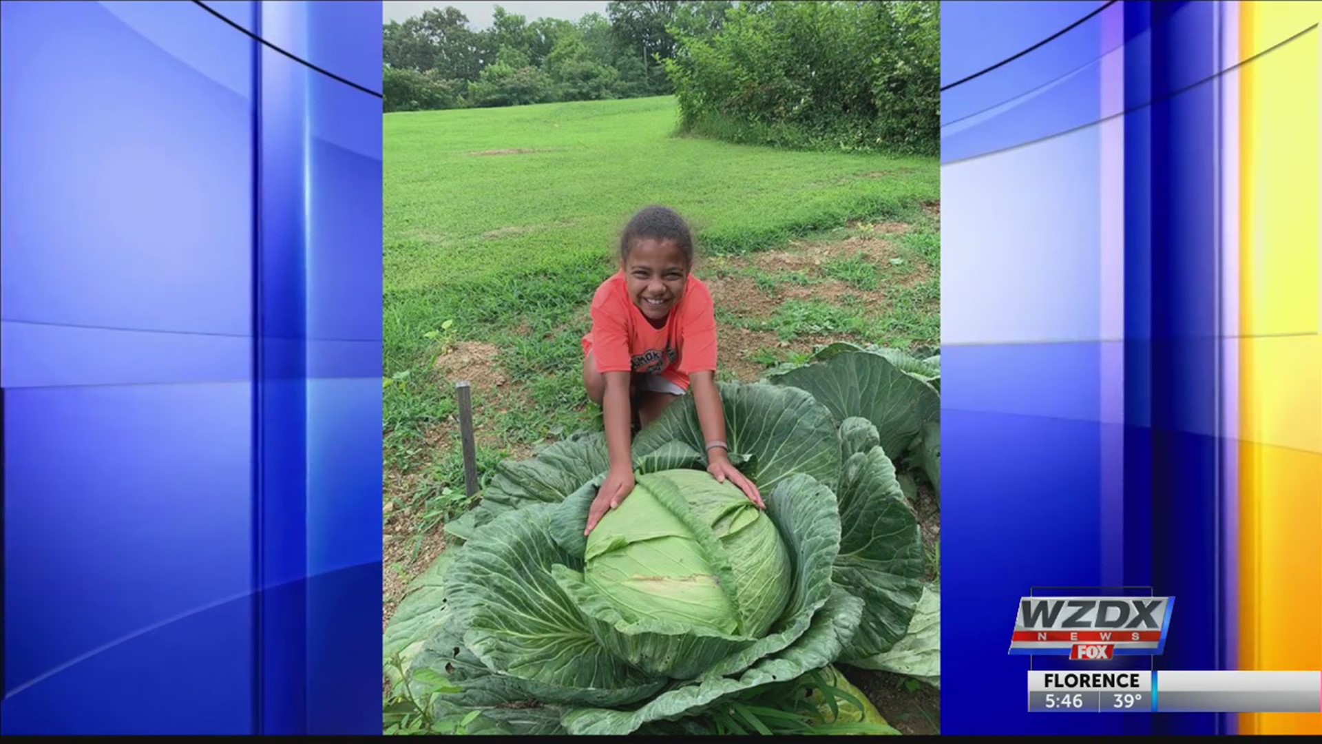 This little girl from Fayetteville, Tenn. won big with her green thumb, growing this gigantic cabbage!
