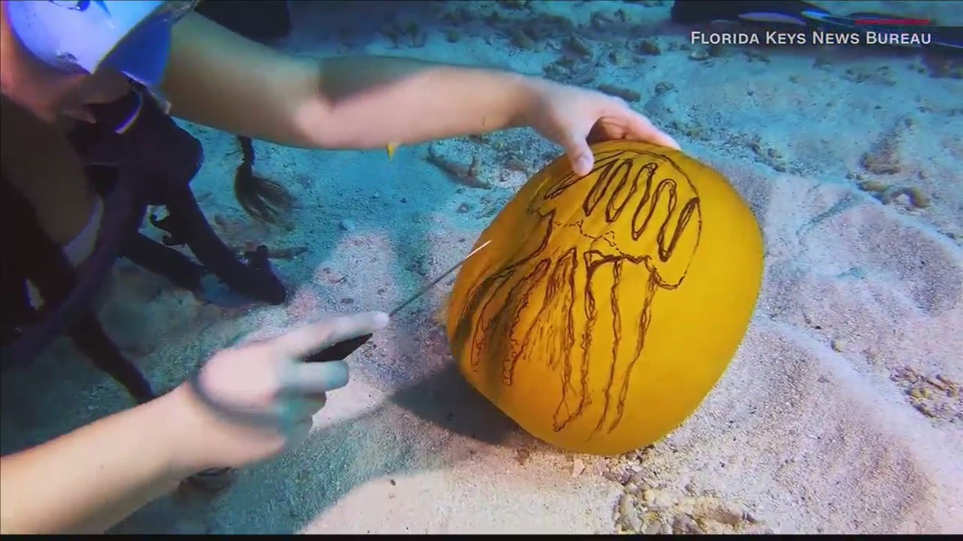 Teams of divers went underwater for this jack-o-lantern challenge.