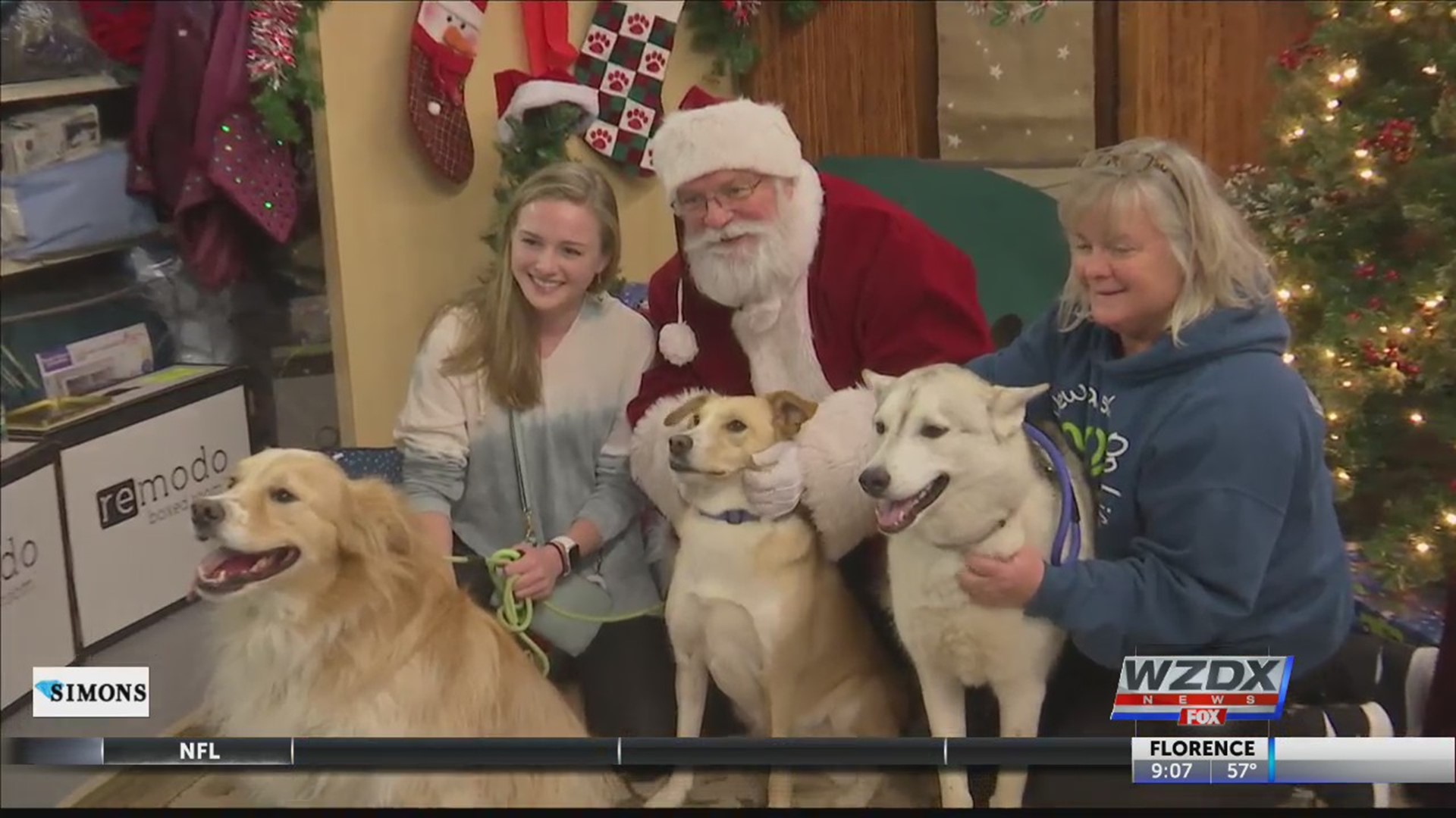 Locals brought their pets out to pose with Santa for a holiday picture, and it was just about the cutest thing you can think of.