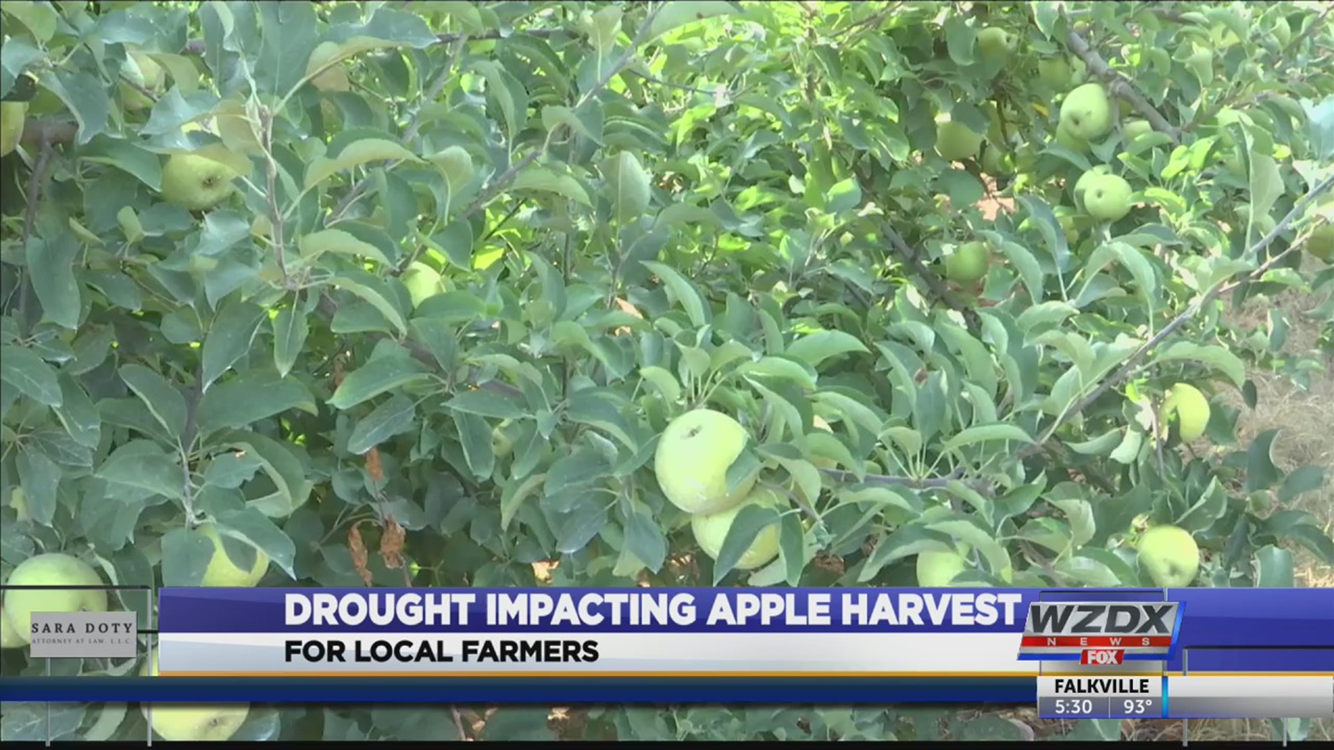 Drought impacting apple harvest for local farmers | rocketcitynow.com