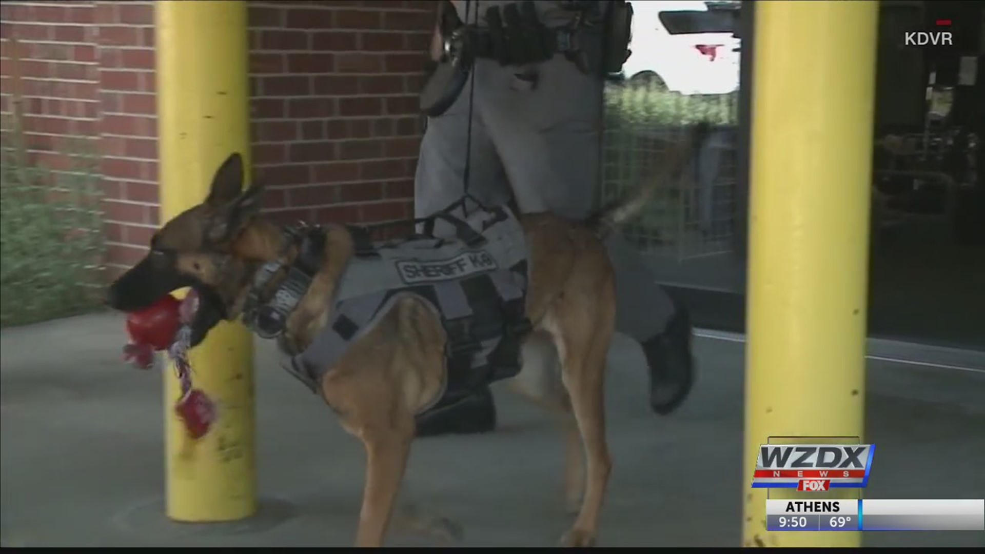 This former homeless dog is now a full-fledged bomb-sniffing K-9 in Denver.