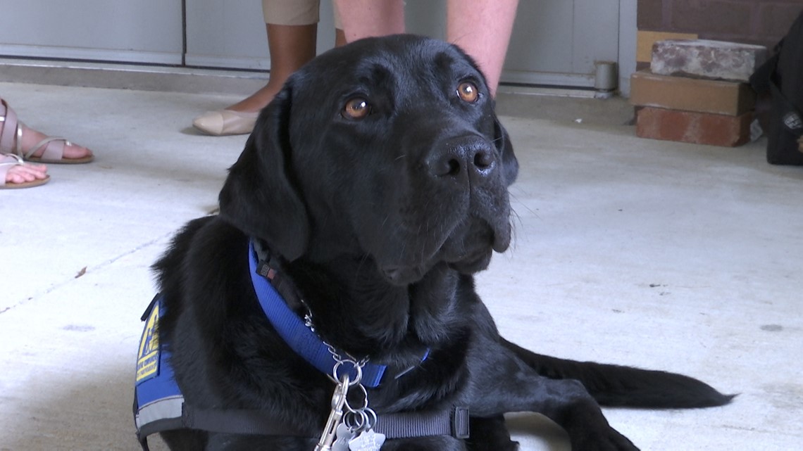 New facility dog helping kids at the National Children’s Advocacy ...