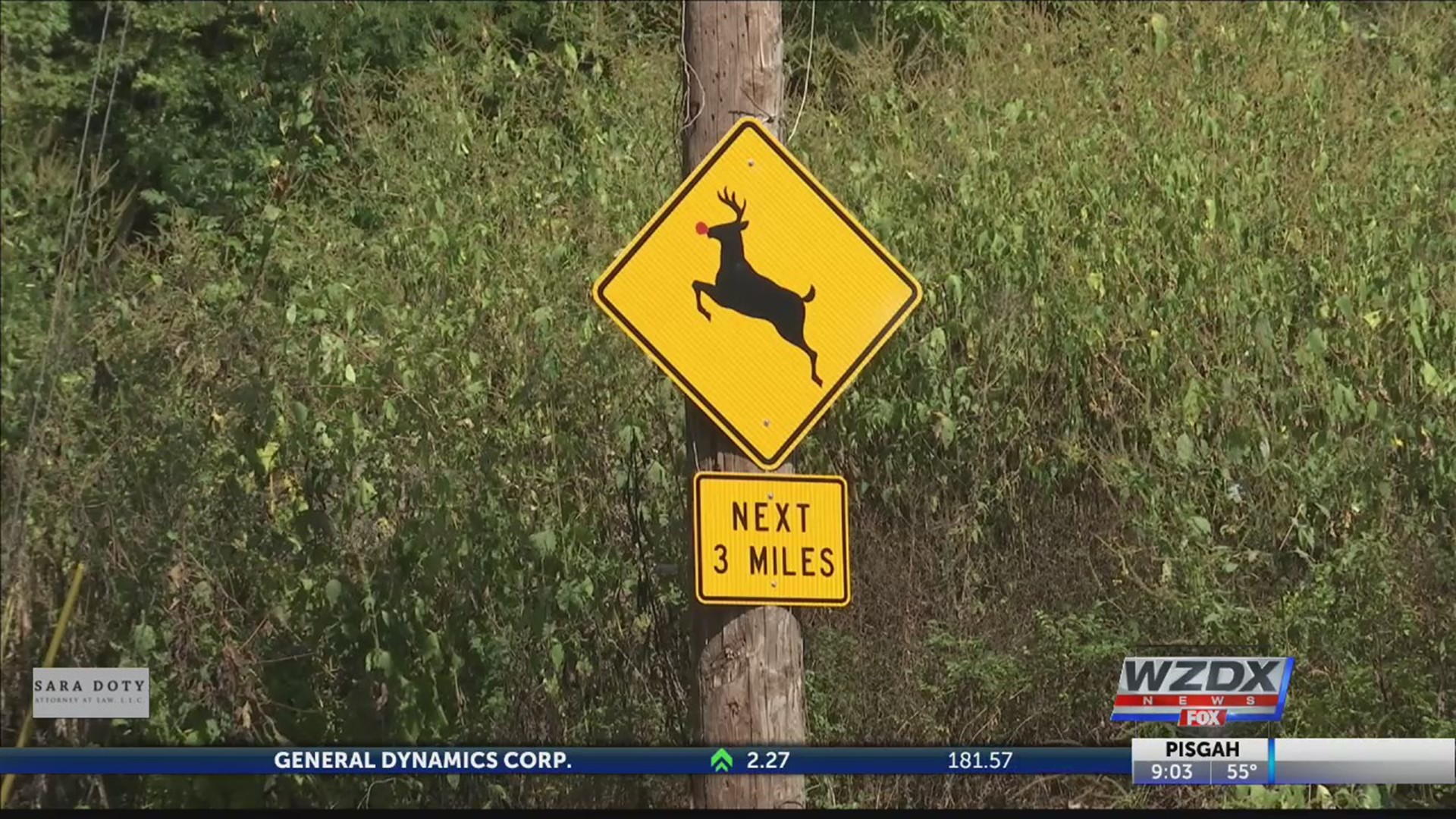 There's something you'll want to be aware of next time you get behind the wheel. It is mating season for deer, and deer-related automobile accidents are highest this time of year.