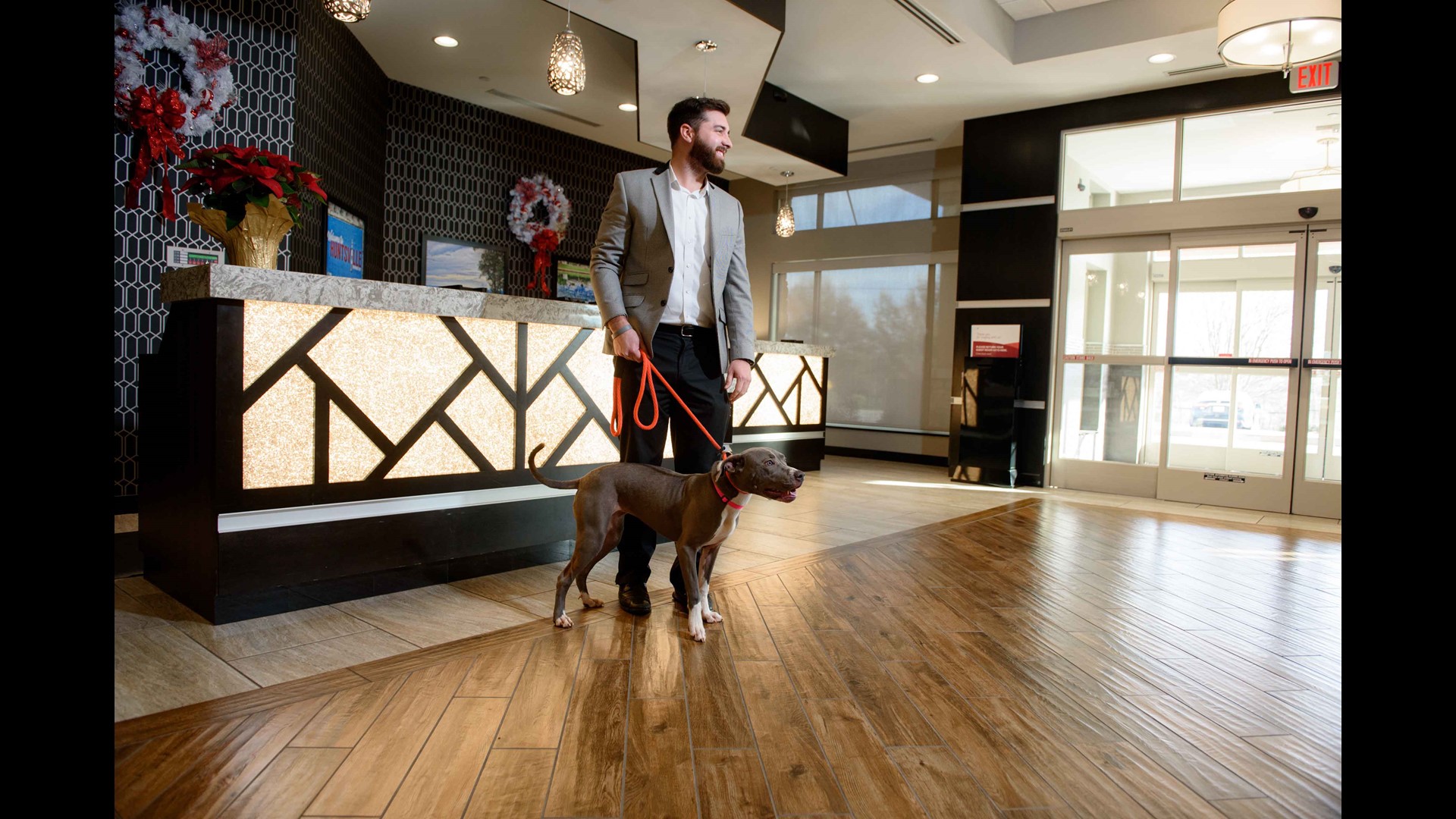 Shelter dogs tour four petfriendly Huntsville hotels