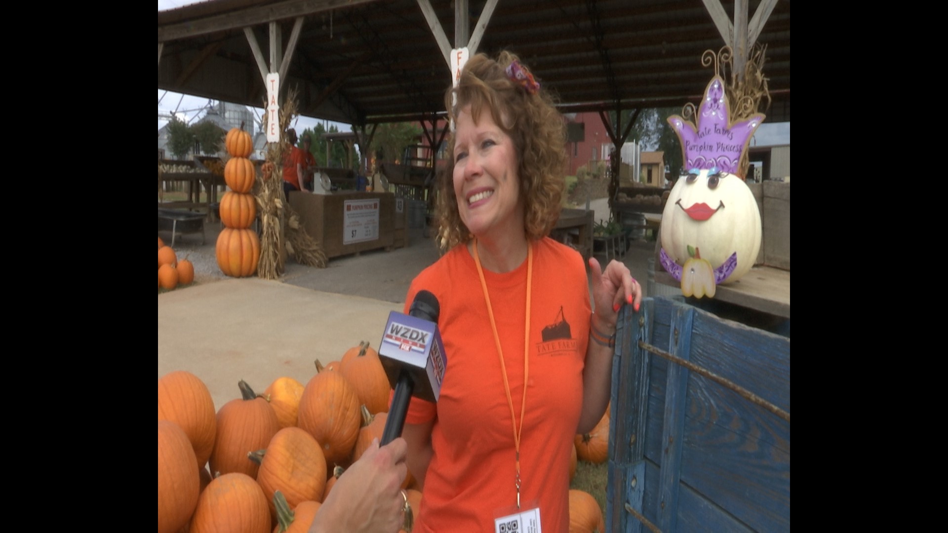 It’s officially fall and that means it’s officially pumpkin picking season at Tate Farms.
