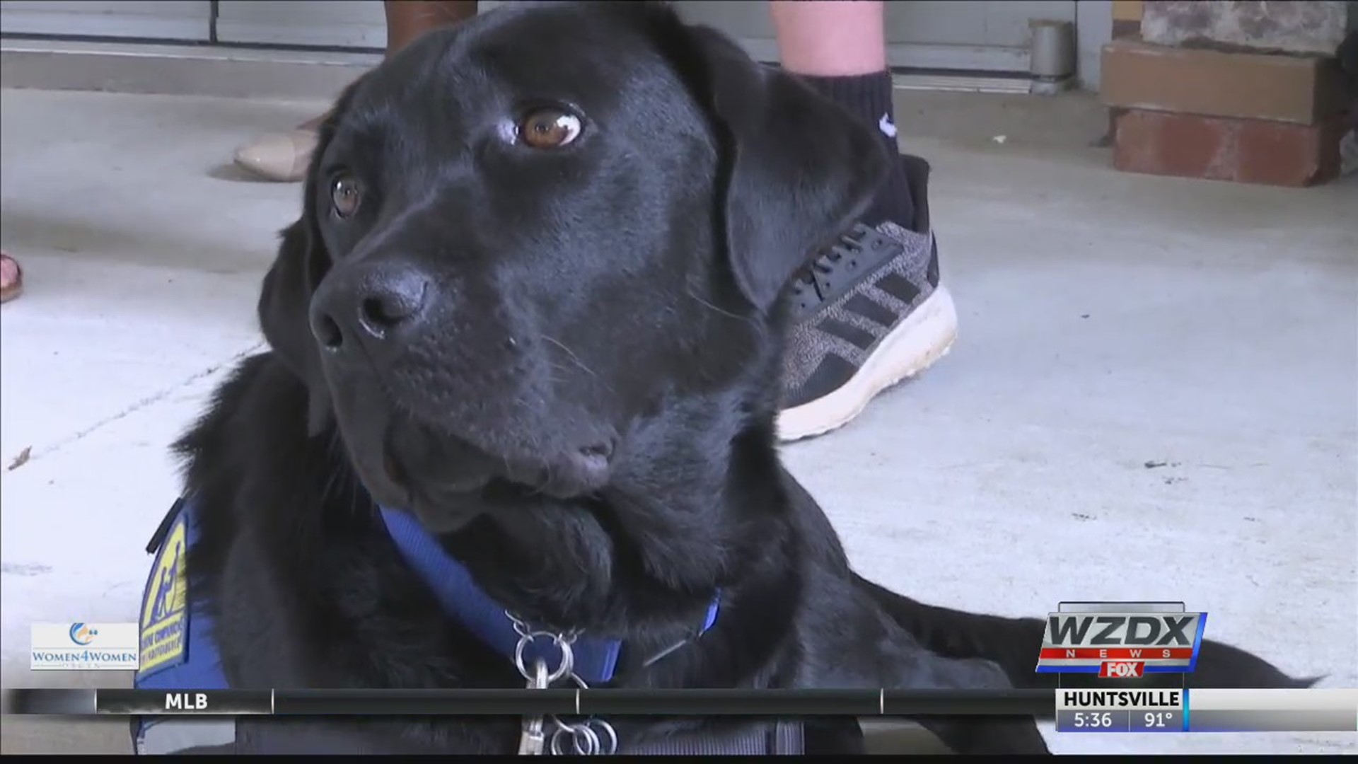 The National Children's Advocacy Center's newest worker has four legs and is already making a big difference.