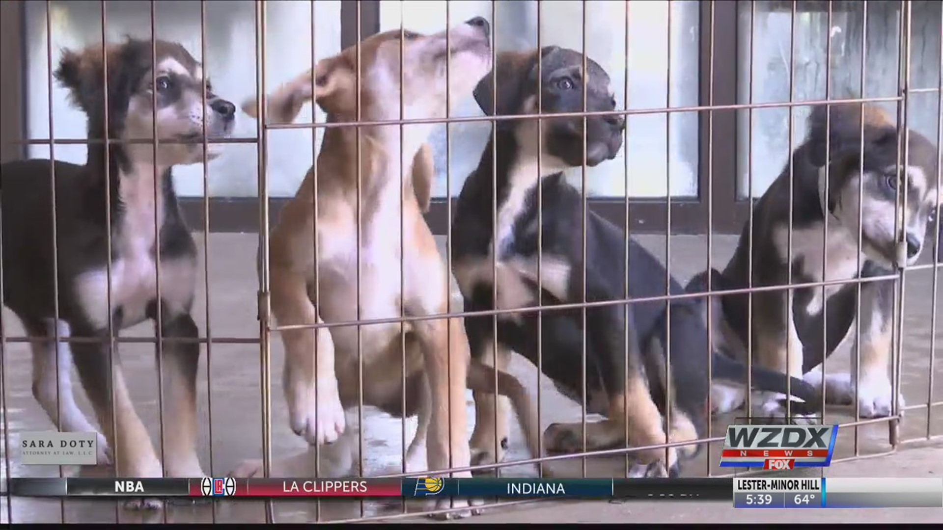 On Monday, the Greater Huntsville Humane Society transported 15 animals to Maryland as part of a transport program to help animals be adopted.