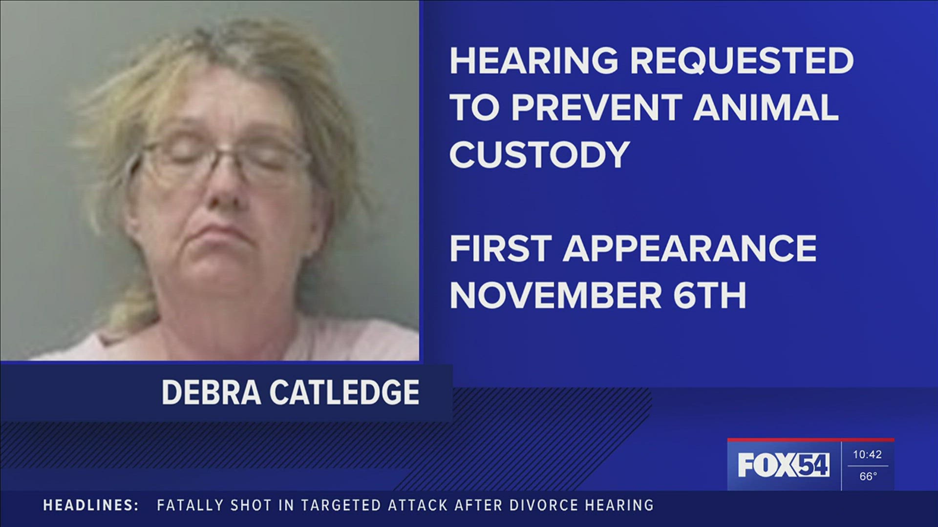 Debra Catledge is accused of neglecting dozens of horses and dogs at her Colbert County property. Many animals were found dead.