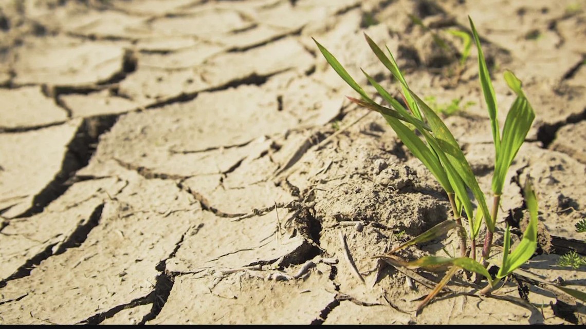 Drought concerns: What are the effects?