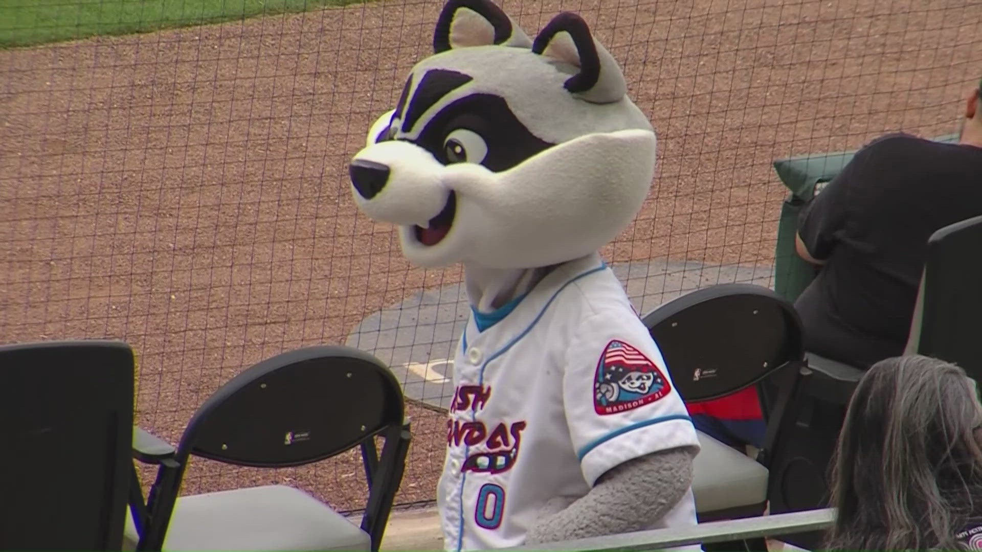 The Rocket City Trash Pandas suffered their 16th consecutive loss in Tuesday night's series opener at Toyota Field, falling 3-1 to the Knoxville Smokies