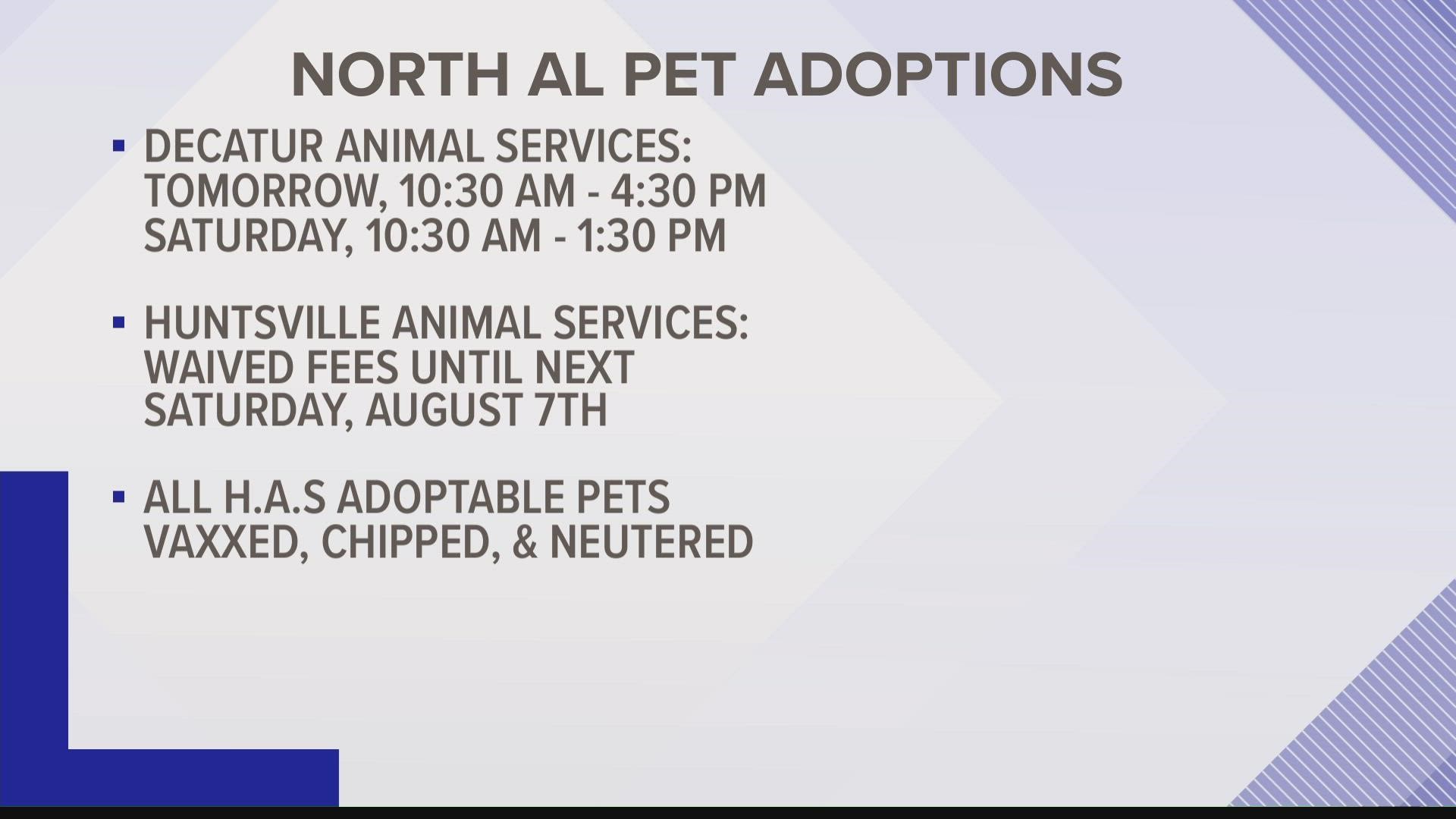 Decatur Animal Services will offer free animal adoptions starting tomorrow from 10:30 am to 4:30 pm and Saturday from 10:30 am to 1:30 pm.