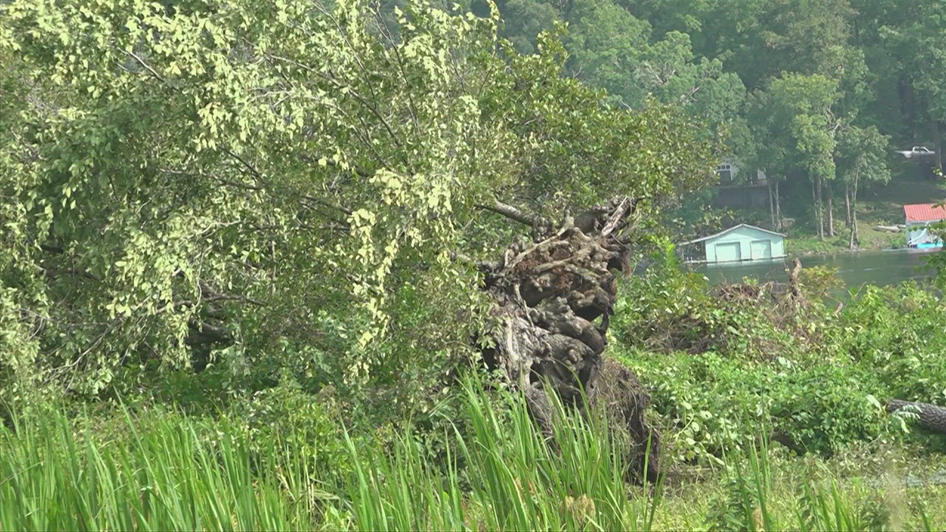 95 mph winds caused substantial damage around the Lake Guntersville area Friday.