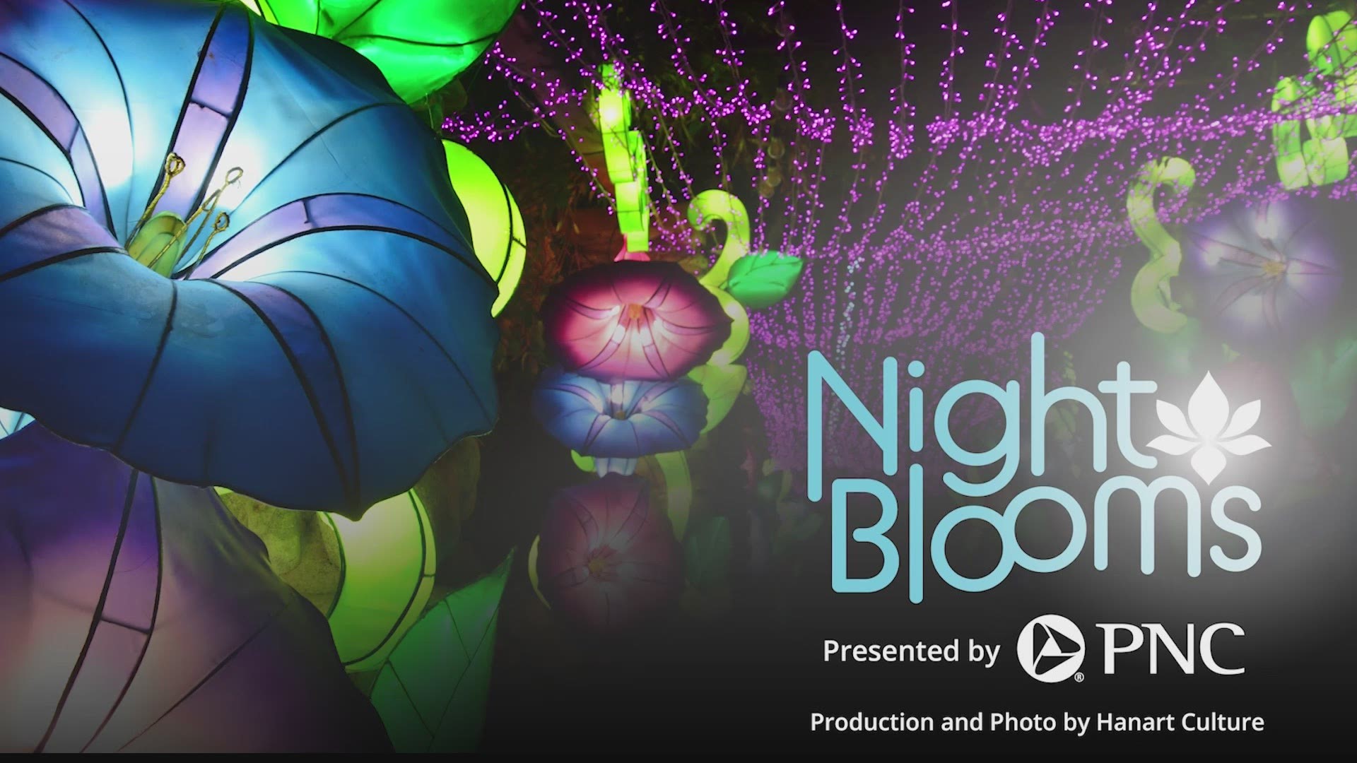 The Huntsville Botanical Garden has announced a new night event coming this summer.
