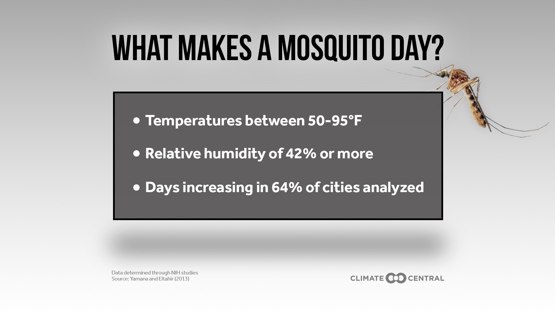 Mosquito Days Rising in a Year