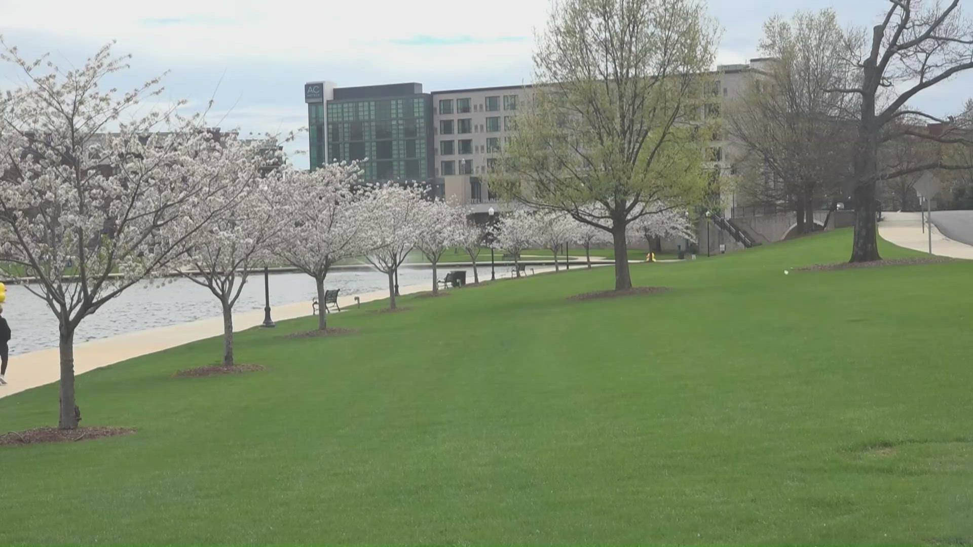 WELLNESS WEDNESDAY: Pollen season arrives in North Alabama, experts ...