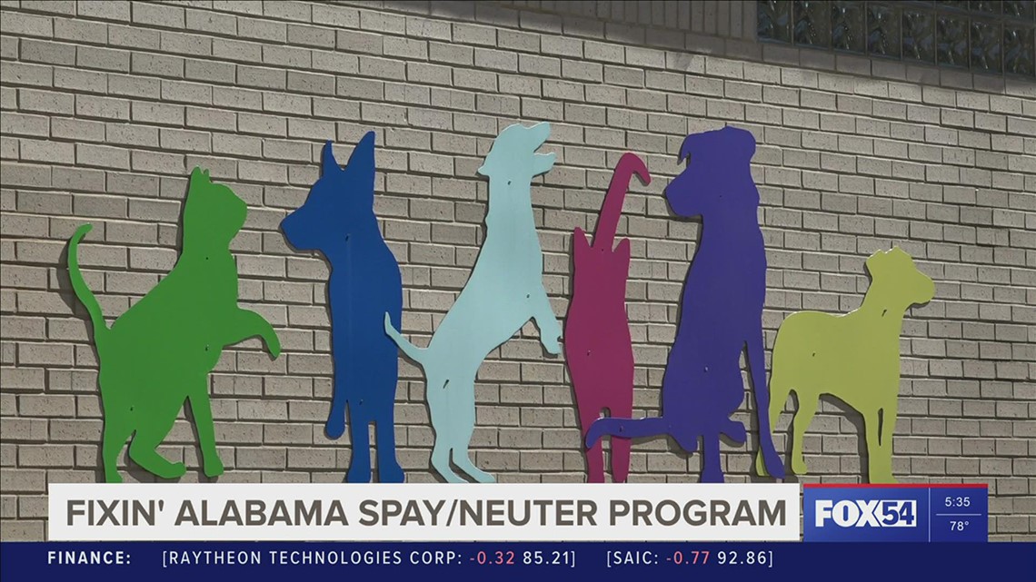 Program helps make fixing your pet more affordable