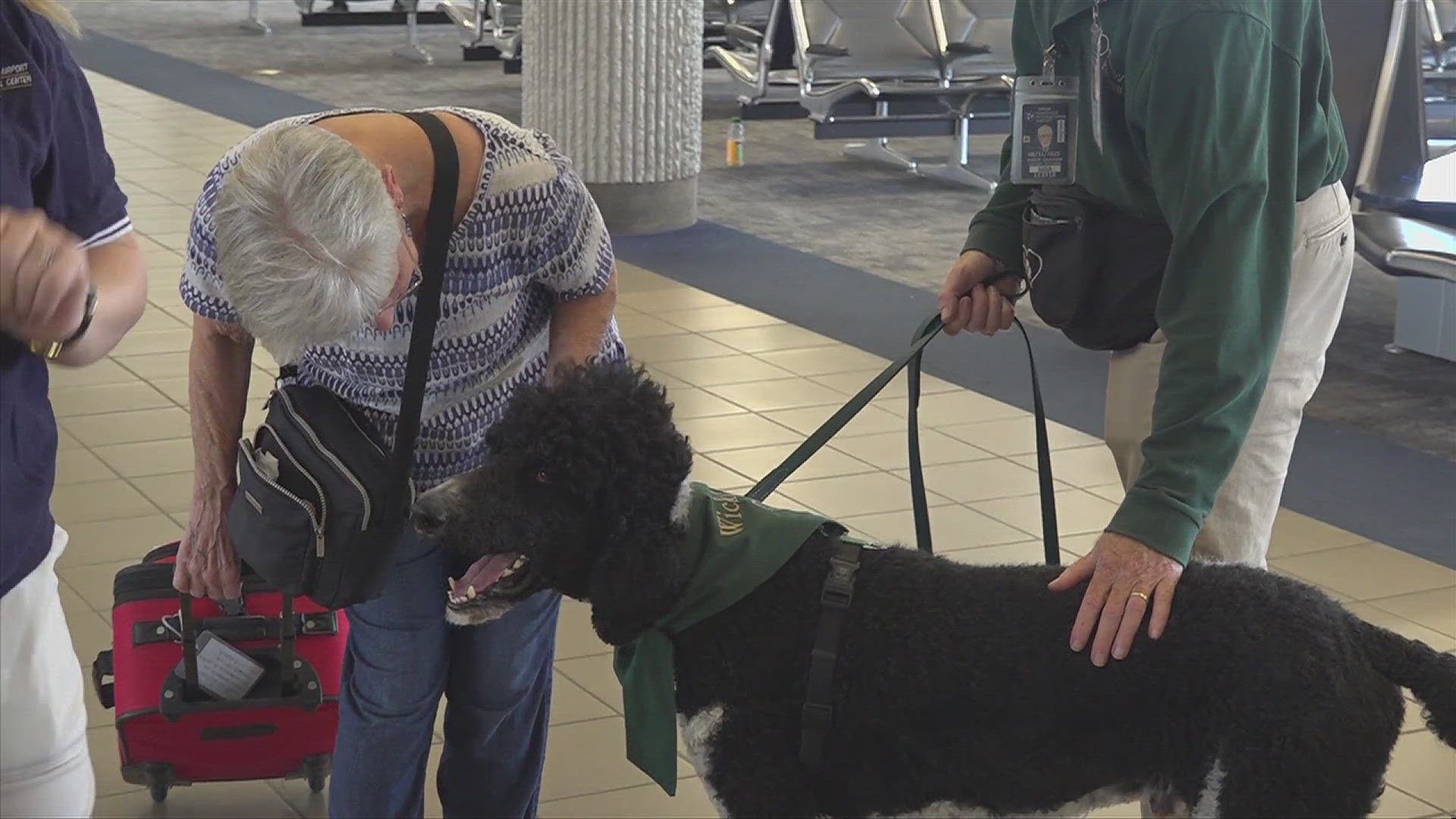 TSA officials want to remind you about changes to your ID that need to happen if you wish to board a plane. Plus, therapy dogs added to list of HSV services.