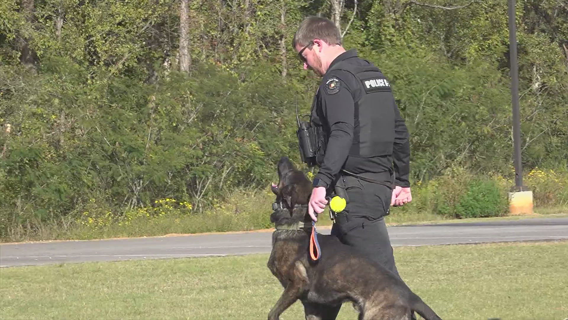 The four-legged members of HPD who put their lives on the line to keep us safe got a chance recently to show off their skills.