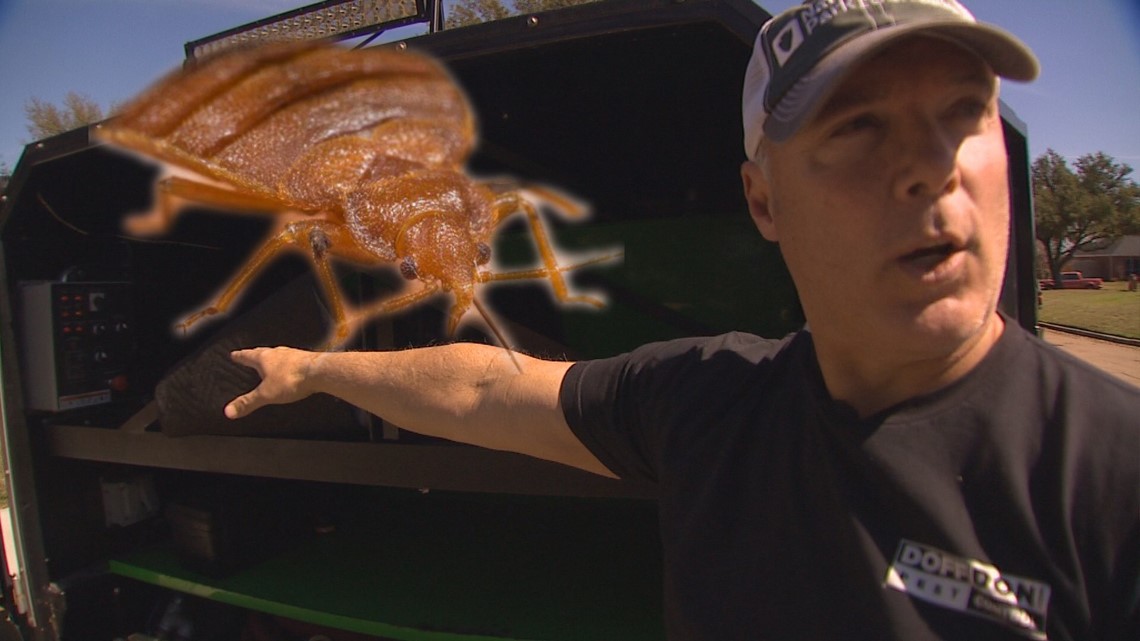 Dallas bed bugs expert says he treats 5 to 10 rideshare vehicles per