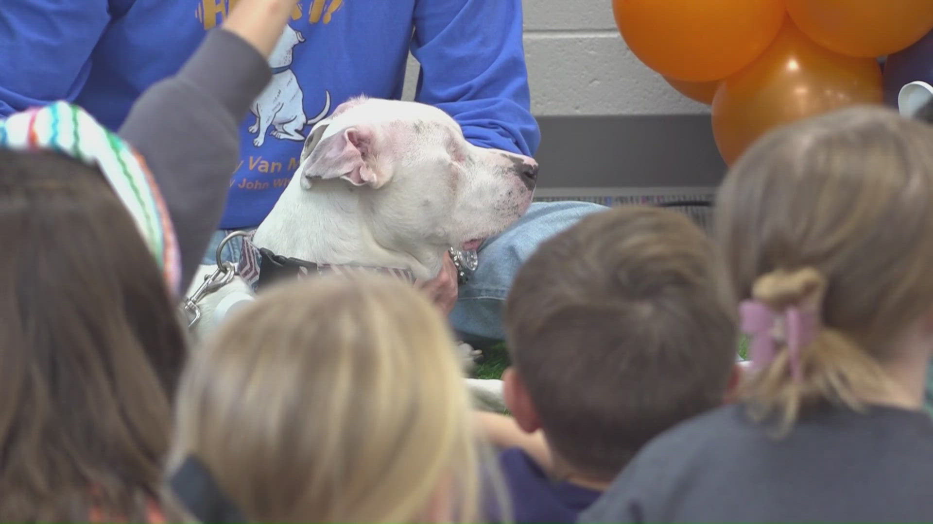 'See with your heart, not your eyes': Blind dog teaches Athens students ...