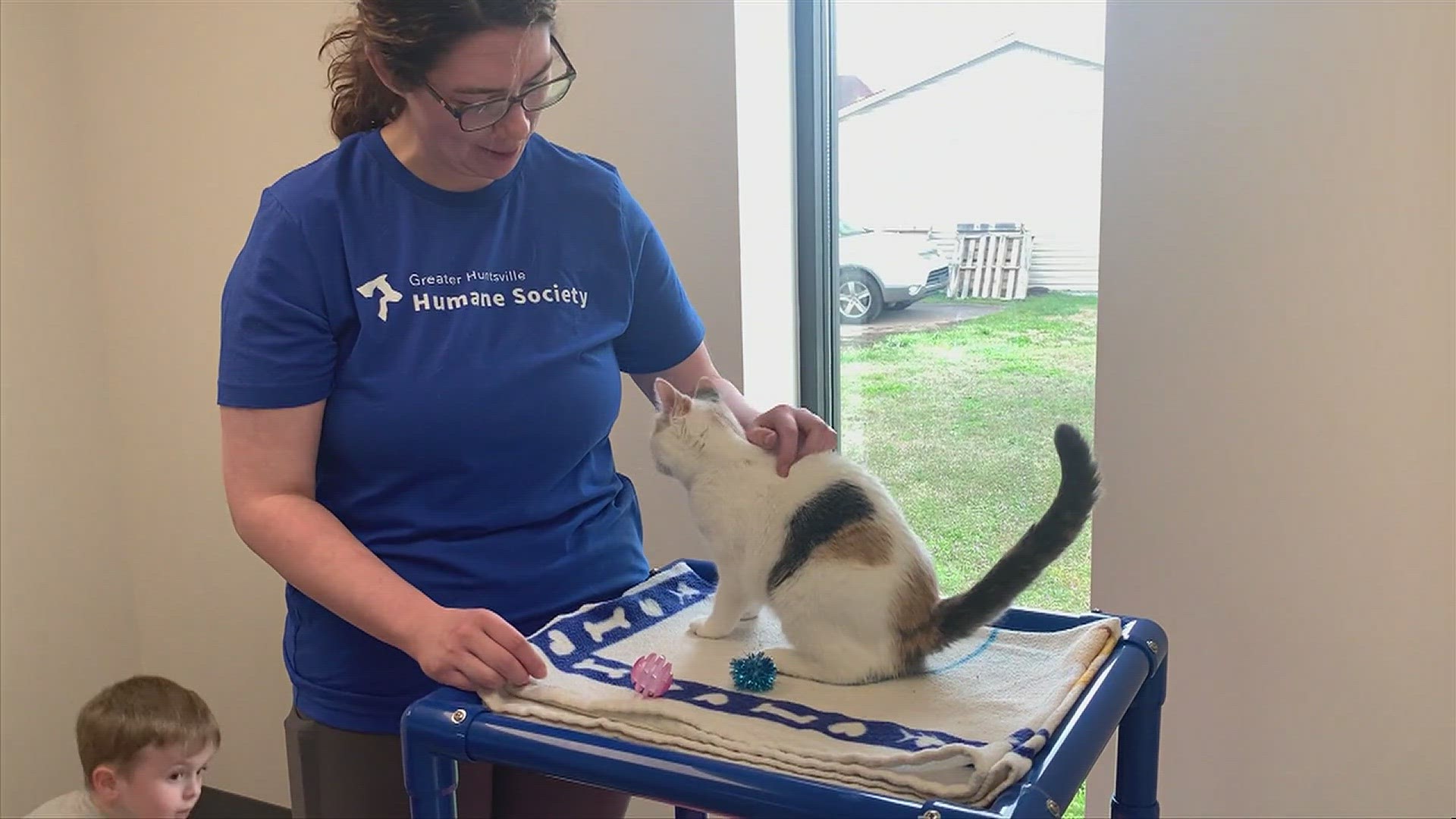 Greater Huntsville Humane Society's adoption and resource center specializes in FIV+ and leukemia-positive felines.