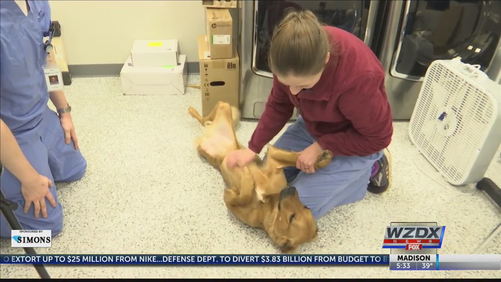 Imagine your pet starts choking. What would you do? Most pet owners don't. A local animal ER doctor says there are some things pet owners can do to try to help their pets in these situations.