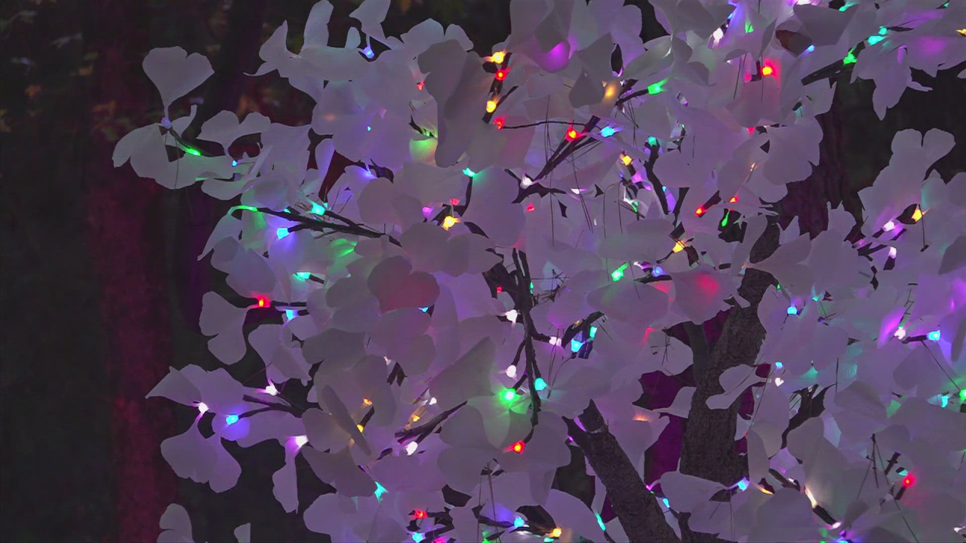 The light show features a few million sparkles across the Huntsville Botanical Garden.