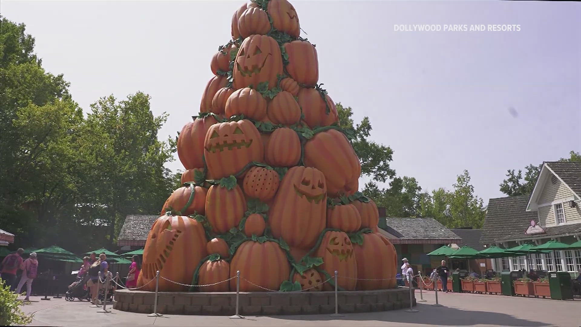 It's Harvest Festival season once again, and at Dollywood that means thousands upon thousands of pumpkins and the Great Pumpkin IllumiNights experience!