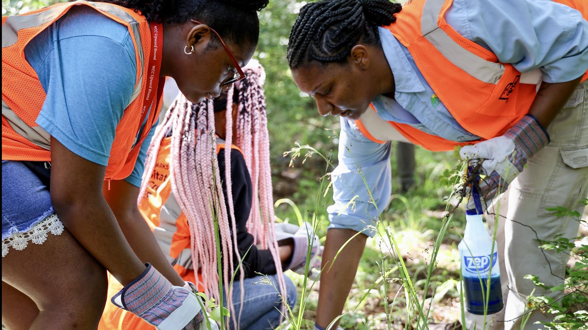 Sam R. Murphy Wma Alabama State Parks launches statewide effort to restore habitats and ...
