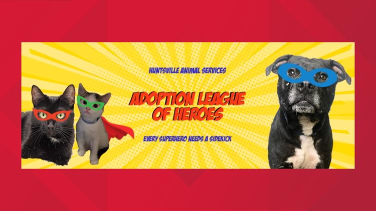 Be a super hero to a Huntsville Animal Services pet
