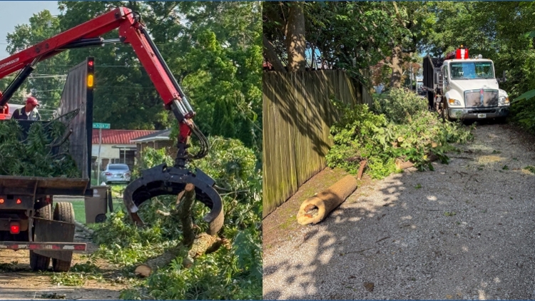 Decatur crews clean up fallen trees and debris after storms move ...