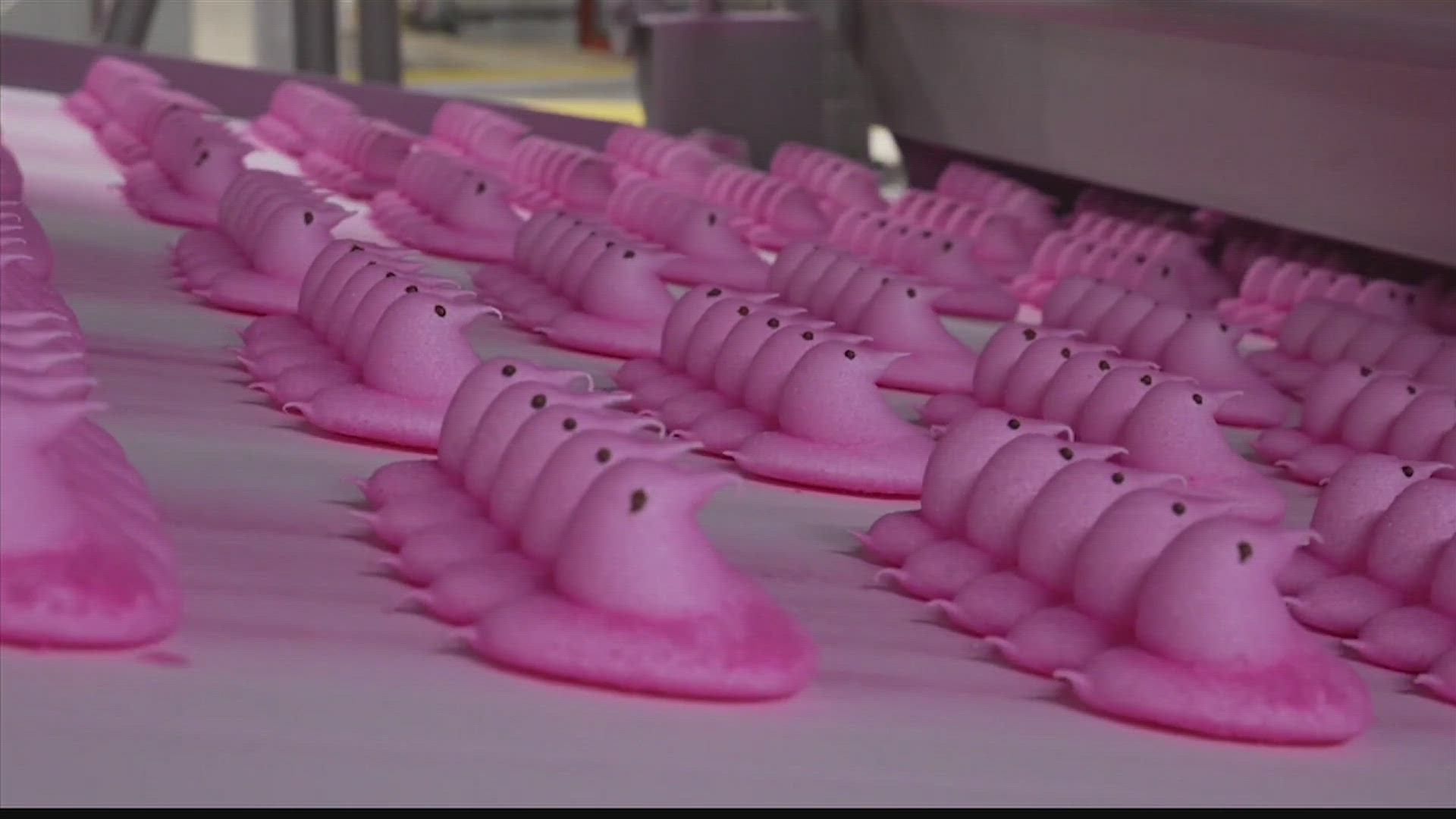 The Just Born factory in Bethlehem, PA is responsible for the marshmallowy Easter treat. Here's a behind the scenes tour plus a taste test with the FOX54 anchors.