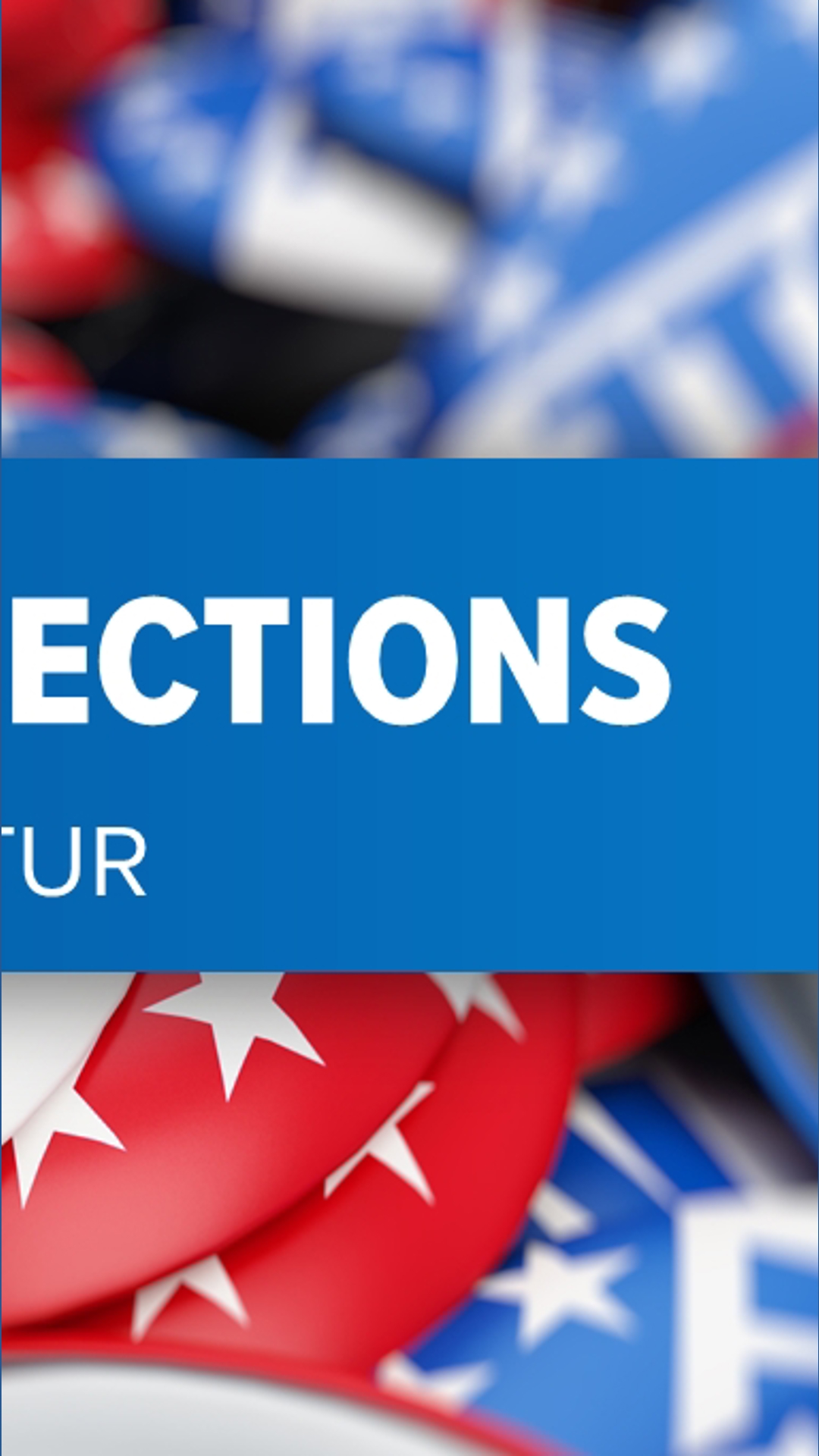 Voter files lawsuit to halt Decatur mayoral election results ...