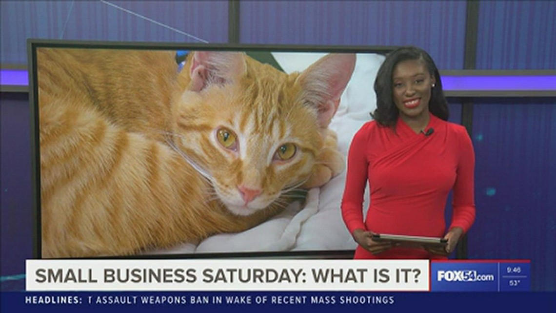 Small Business 'Caturday' at Lowe Mill